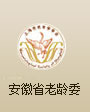 安徽省老齡委